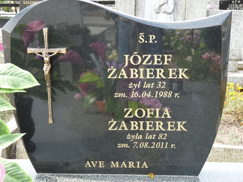 Józef Żabierek 1955 Kramsk - Grobonet - Wyszukiwarka osób pochowanych