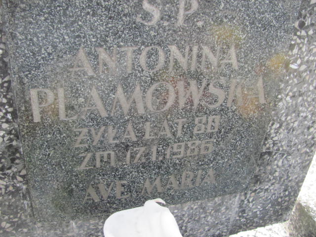 Antoni Plamowski 1905 Kramsk - Grobonet - Wyszukiwarka osób pochowanych